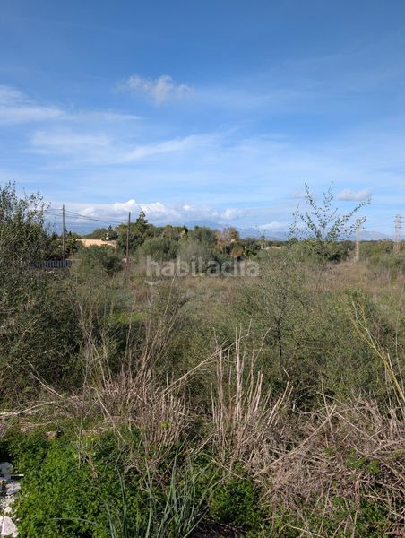 Foto b7d3a2a1-dd62-41a0-9c2c-68a40fa3b311. Finca rústica a Sineu