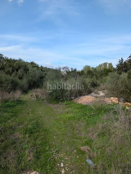 Foto bbab4aa6-3ea5-4806-87dc-5cb94199aec4. Finca rústica a Sineu