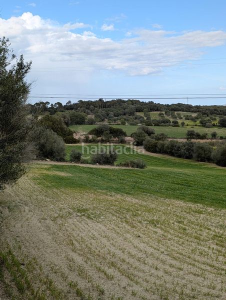 Foto 04c937e3-733a-4245-9673-a5312862139b. Finca rústica a Llubí