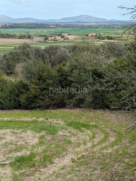 Foto 7e1d5882-4542-4253-8d2d-c7a42074ed6e. Finca rústica a Llubí