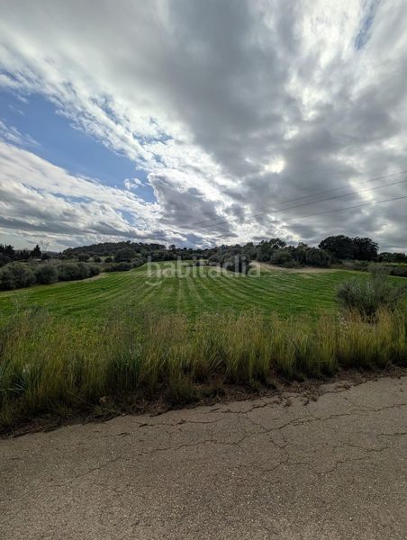 Foto a0ab34df-9887-4011-be8e-d406ec8345a2. Finca rústica a Llubí