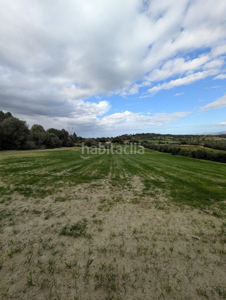 Foto b8f9a6ee-9b04-4a8c-8d22-1b58b3932c23. Finca rústica a Llubí