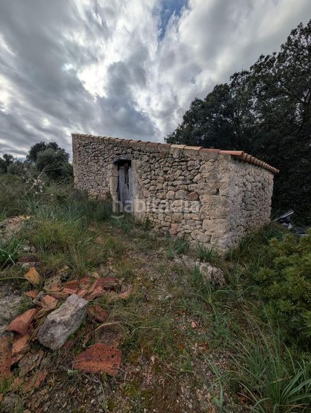 Foto c5161426-9734-425a-89bb-34359306d523. Finca rústica a Llubí