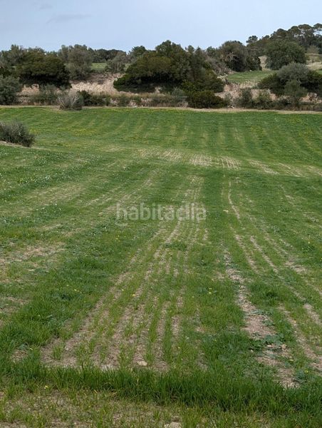 Foto c5617907-c030-42c7-9deb-a6523d7bc081. Finca rústica a Llubí