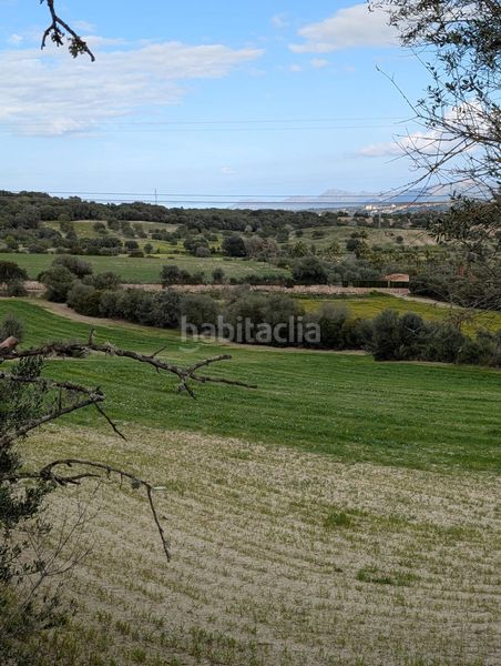Foto e88a0a92-dcc6-416c-a0d2-24812649aab2. Finca rústica a Llubí