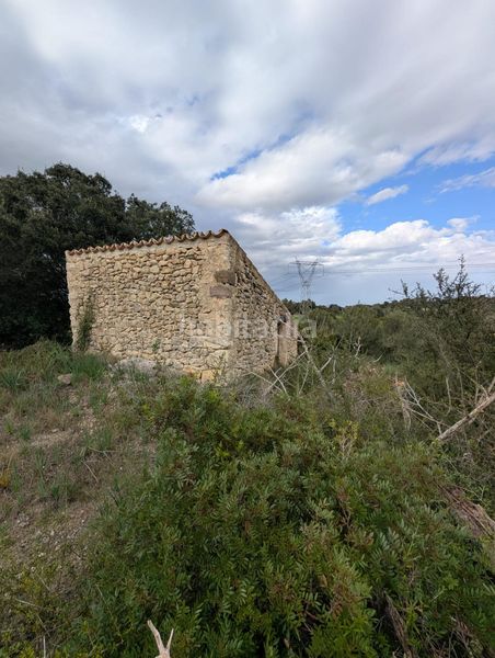 Foto fce22ed8-b07a-4eb7-98d4-1818bc45863c. Finca rústica a Llubí
