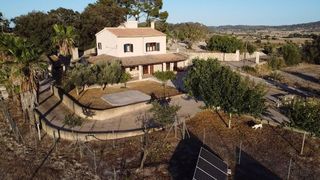 Lloguer Masia a Sineu. Alquiler excelente finca afueras de sineu