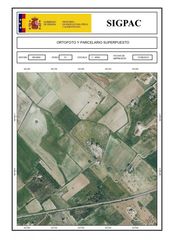 Rural plot in Sant Joan. Terreno rústico en sant joan