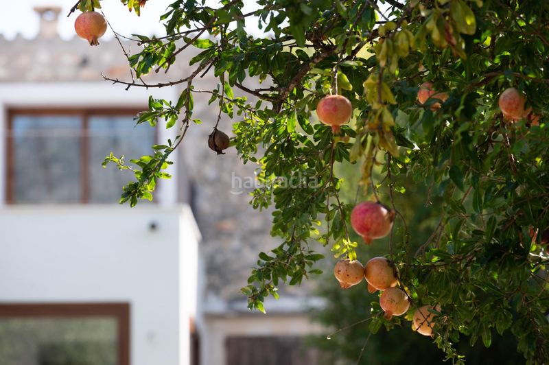 Foto e3729f90-2867-42ff-98db-c0f2ec06338a. Casa amb piscina a Campanet