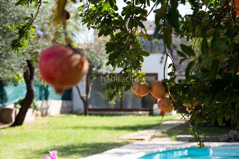Foto ea29dde9-b7e7-433a-91ec-91350eb80807. Casa amb piscina a Campanet