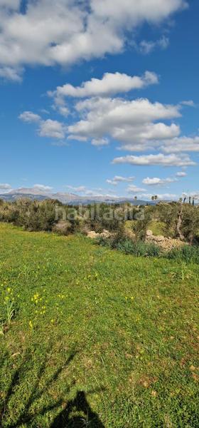 Foto 04522a92-45d1-4320-a8a8-614d1017602c. Propriété dans Llubí