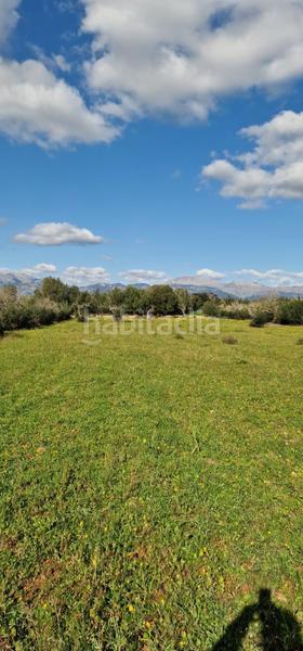 Foto 55b1e5f0-d649-4af4-8183-c70200603ea0. Propriété dans Llubí