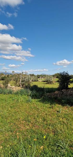 Foto 57da1dc2-9c3d-40ab-a2a5-8ef648e5b5d3. Propriété dans Llubí