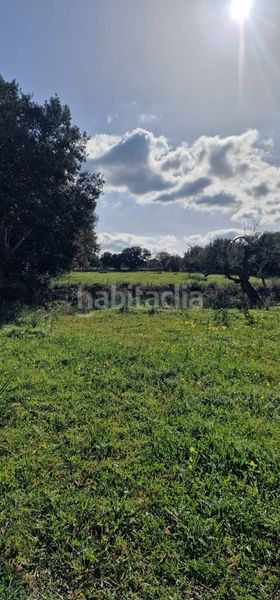 Foto 873f89c4-0ec6-416e-b383-0730c0a38b04. Finca rústica a Llubí