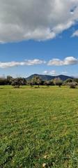 Rural plot in Llubí. Magnífico terreno rústico en llubi