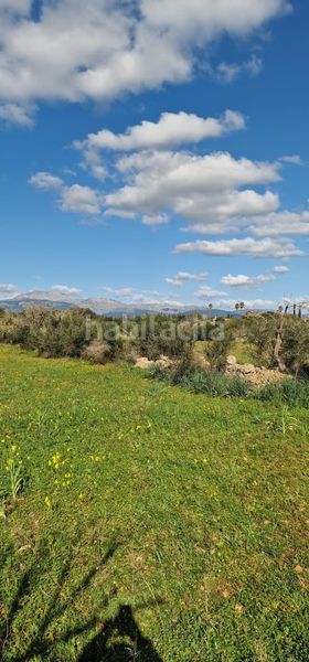 Foto b8477230-2af7-4120-994a-c82c22841a92. Finca rústica a Llubí