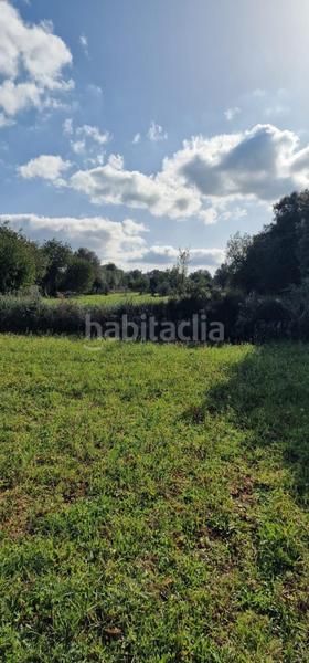 Foto dbaf6049-6bb0-4cc4-b6cf-0f5f63eb332e. Propriété dans Llubí