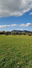 Finca rústica a Llubí. Magnífico terreno rústico en llubi