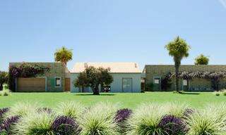 Rural plot in Petra. Magnífica finca en petra a construir