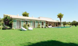 Finca rústica en Petra. Magnífica finca en petra a construir