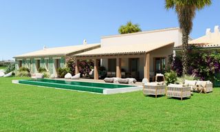 Finca rústica en Petra. Magnífica finca con proyecto aprobado en petra