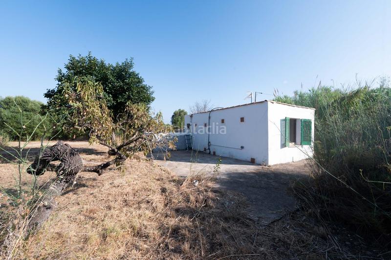 Foto b2984b6a-265d-4760-bda3-44184099a54c. Haus in Campanet