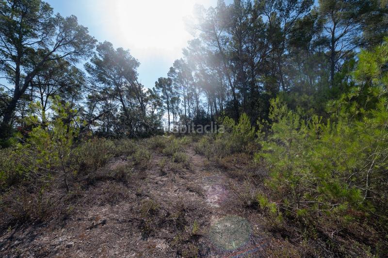 Foto 321d4171-d1e7-4222-9275-8502241b8c7a. Masía finca rústica en plena naturaleza en Sineu