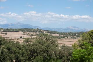 Mas à Sineu. Finca rústica en sineu en plena naturaleza
