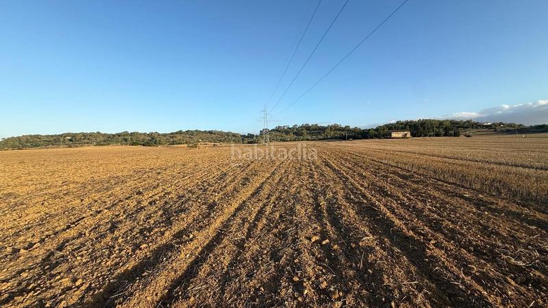 Foto 226dae0e-05fd-4a81-af8f-20c8621901f0. Propriété dans Maria de la Salut