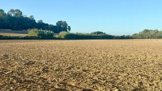 Finca rústica a Maria de la Salut. Magnífico terreno rústico entre sineu y maria de la salud
