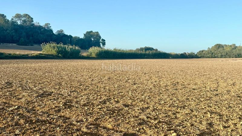 Foto 473c604d-fbc5-4714-b3b6-6610d8611ab8. Propriété dans Maria de la Salut