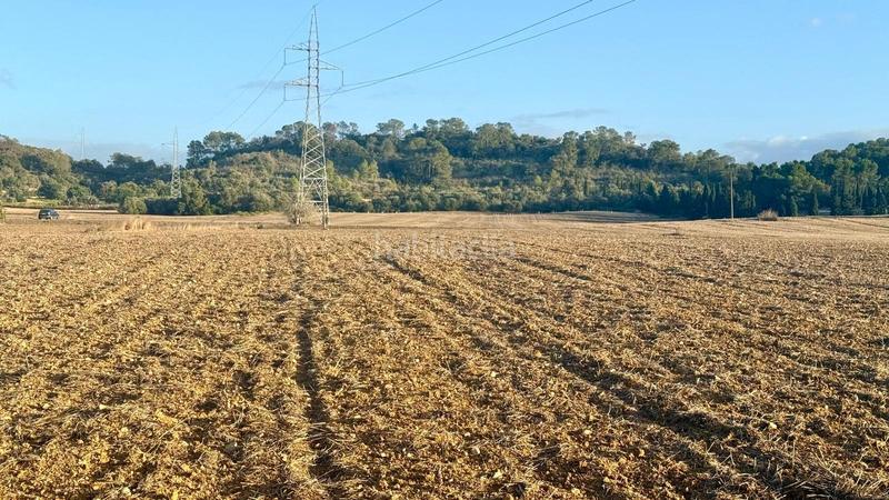 Foto 951cd67d-e48c-4f83-9d69-fd6911615d0c. Propriété dans Maria de la Salut