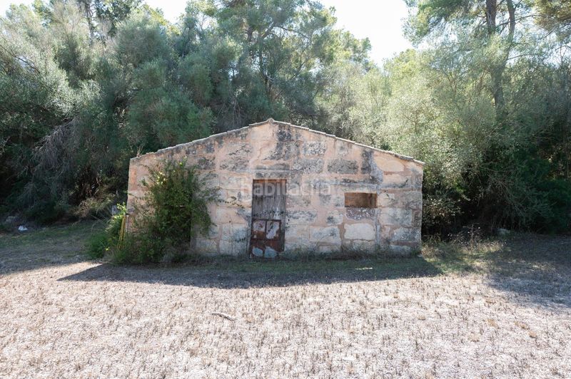 Foto 1c9512d8-17d8-4a7f-a610-bfc401c5649f. Masia amb calefacció aparcament a Sineu
