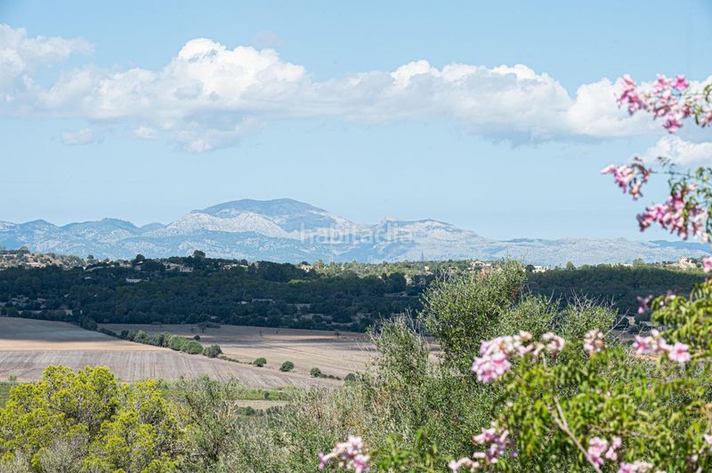 Foto 2b780f69-fb9a-43c2-ab5e-e21da7eeb20f. Masia amb calefacció aparcament a Sineu