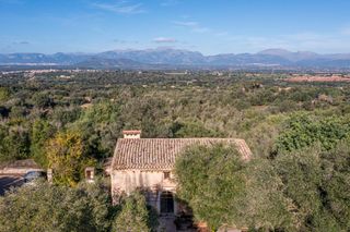 Mas à Llubí. Magnífica finca rústica en llubi