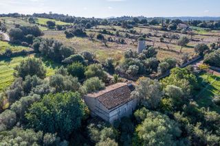 Mas à Llubí. Magnífica finca rústica en llubi