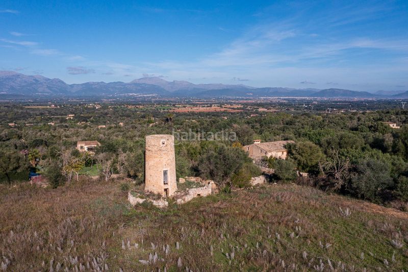 Foto 4a8302b8-2227-4c5a-8da1-070ca845e8d3. Finca rústica magnifica finca rústica en llubi en Madrid