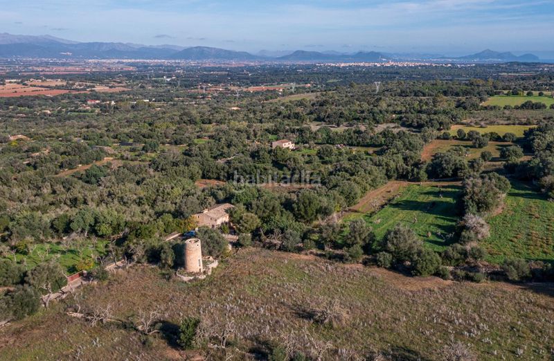 Foto a2987b86-bf78-46c4-96e9-8b512c43c6a2. Finca rústica magnifica finca rústica en llubi en Madrid