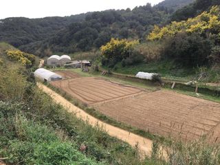 Propriété à Calella. Terreno agrícola y forestal  con construcciones agrícolas y inve
