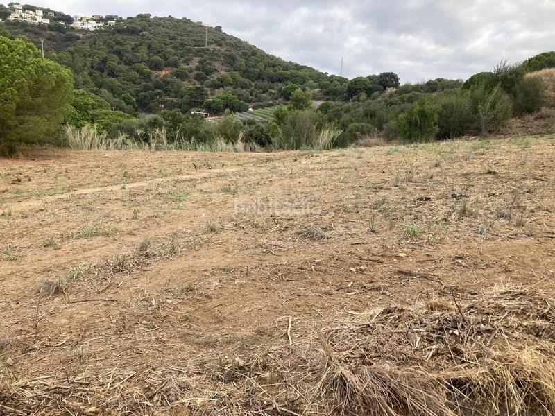Foto b6e23292-91c8-4f44-856d-7b8d6203caea. Finca rústica  con vista al mar en Can Carreras - Montessol Pineda de Mar