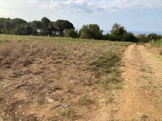 Propriété  Carrer de l'onyar. Finca rústica con vista al mar en pineda de mar