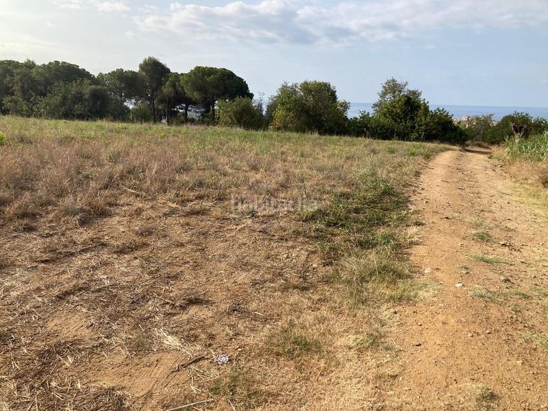 Foto d03cd3ca-0f5b-47f5-9d9b-4b634bfbd05e. Finca rústica  con vista al mar en Can Carreras - Montessol Pineda de Mar