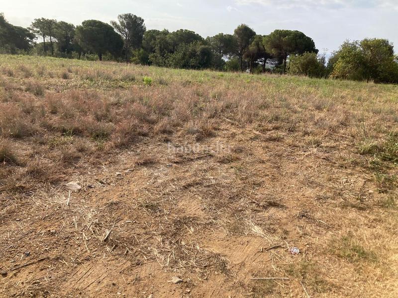 Foto f0d28486-c29d-438d-9bcf-b0009b1b022f. Finca rústica  con vista al mar en Can Carreras - Montessol Pineda de Mar