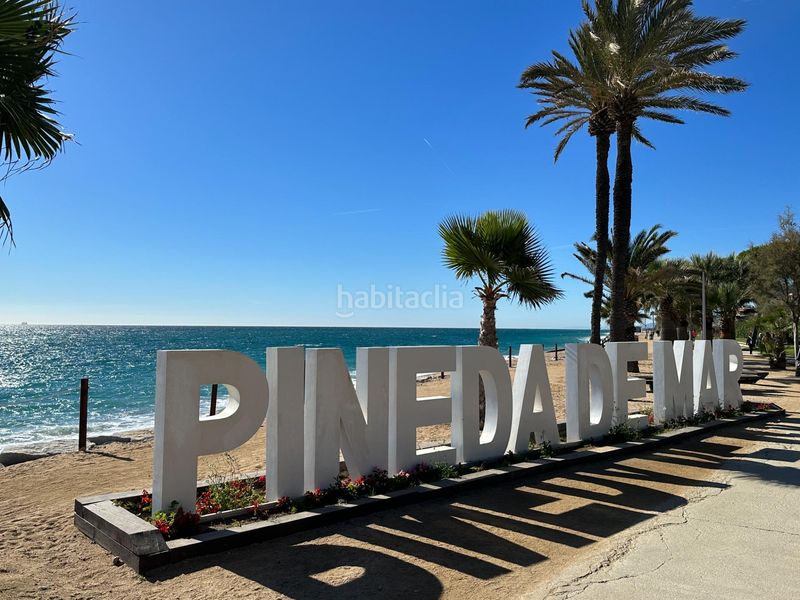 Foto fb2c4561-bb6a-4030-bec0-d24e2896ff48. Pis a Centre Pineda de Mar
