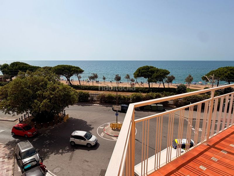 Foto d4306757-8512-4cef-a3d1-b967b468ed95. Pis a Centre Pineda de Mar