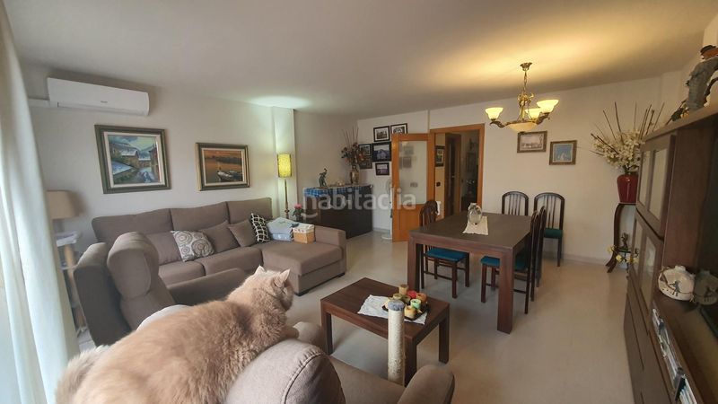 Foto cbc1061a-3868-4133-8c5c-ede27f27c921. Pis a Canet de Mar