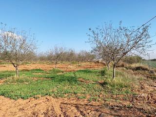 Finca rústica a La Magdalena - Molinos Marfagones. Terreno rústico a la venta
