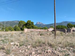 Finca rústica a Totana. Parcela rústica con permiso de obra en sierra espuña tu oportuni