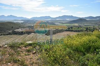 Finca rústica en Mazarrón Casco Urbano. Terreno rústico en la majada, con magníficas vistas al valle de