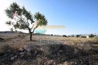 Fondo rustico  Polígono 35. Terreno en venta